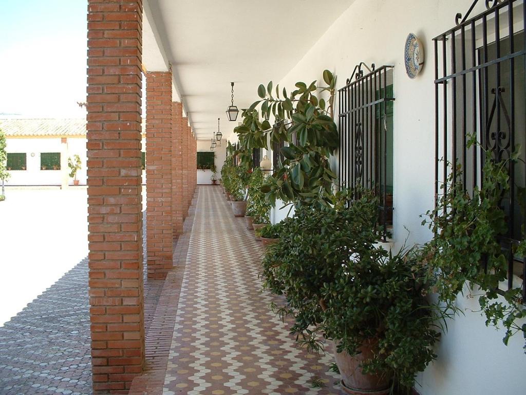 Апартаменты Cortijo De Frias Кабра Номер фото